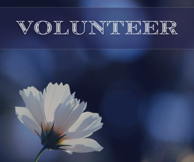 Nonprofit Volunteer Positions